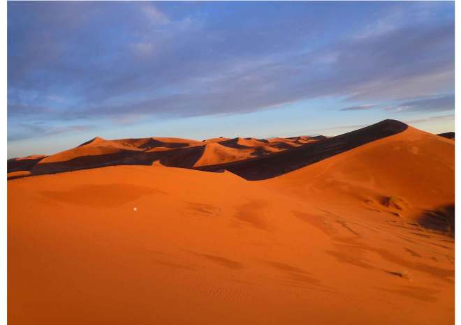 Die Wüste in Marokko - 40 bis 50 Grad im Schatten, aber in der Wüste gibt es keinen Schatten!